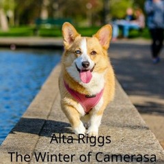 The Winter Of Camerasa