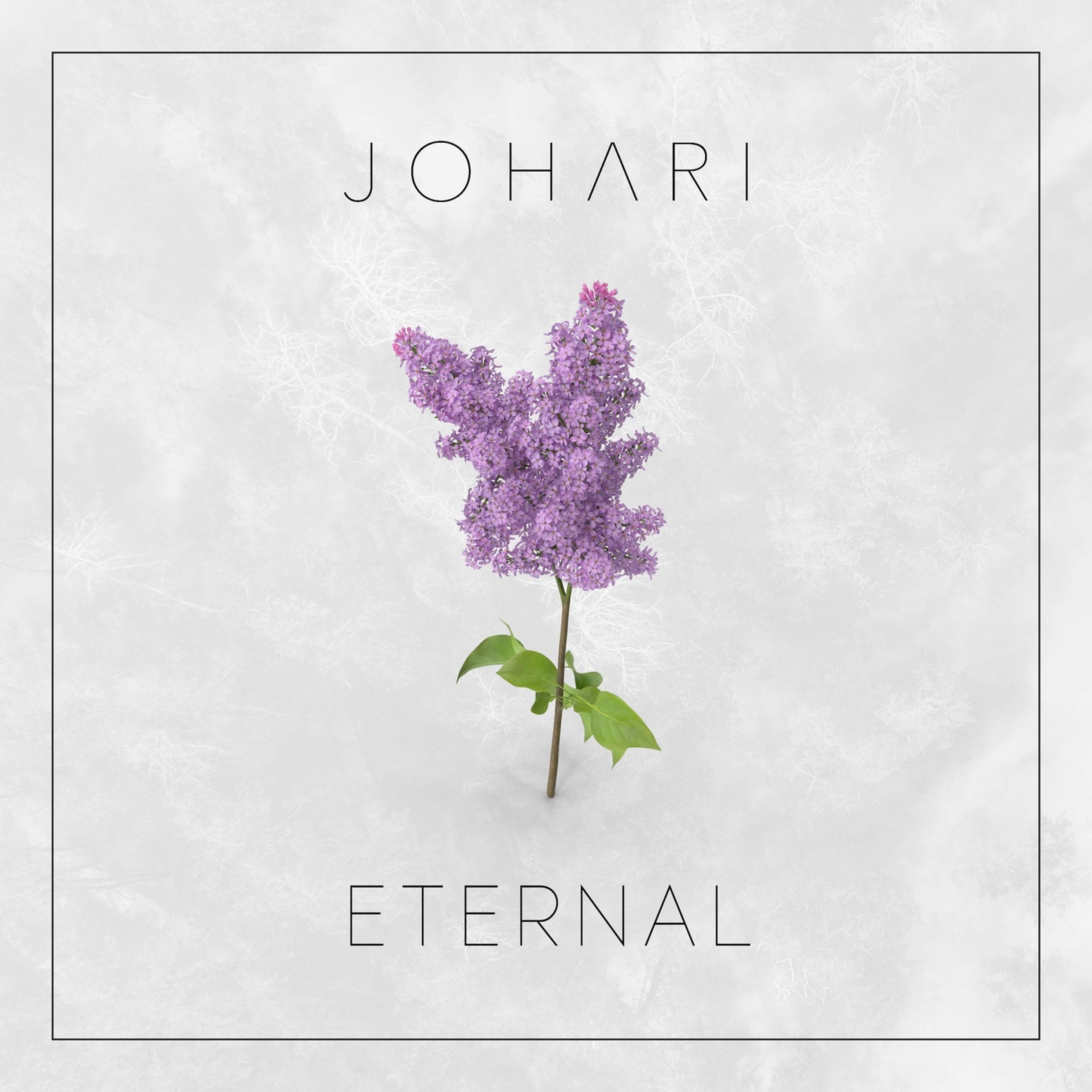 Johari - Eternal episode artwork