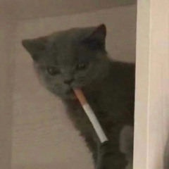 For Me (feat.tosaku)