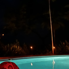 pick a venue, any venue