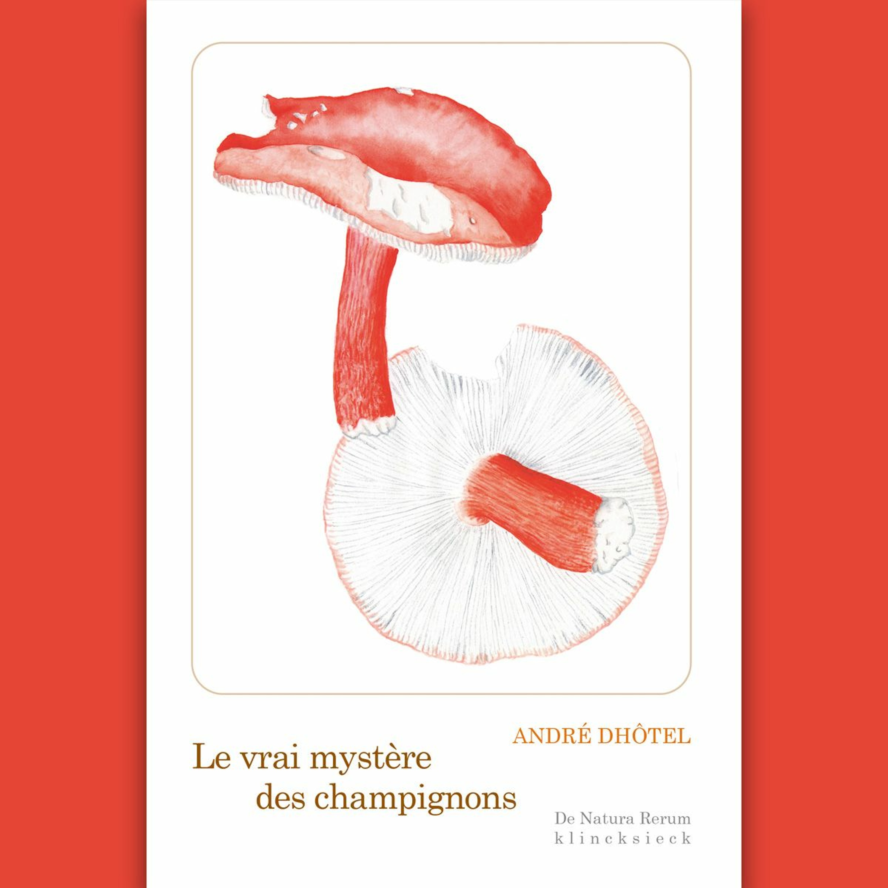 Éditions Klincksieck