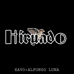 Hirundo (XAVO x ALFONSO LUNA)