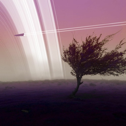 Rage Against The Dying Of The Light