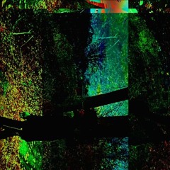 Neoxlime - i seen you in a dream / Xlime wayne ##Transmission Talk (oldjugg)