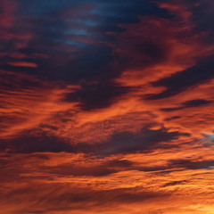 cant eat, cant drink (prod. jaxxee)