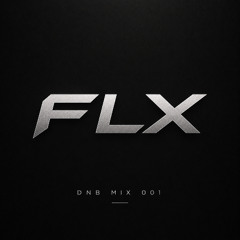 FLX in Session/DNB MIX 001