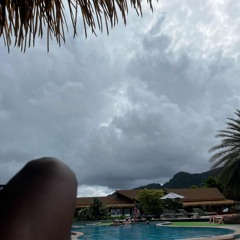 Learn from you - Lynden