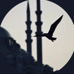 و إذ قتلتم نفسا فادارأتم فيها
