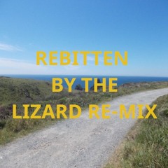 Rebitten By The Lizard Re-Mix