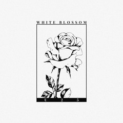 U25 - White Blossom