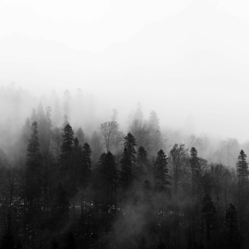 Purgatory