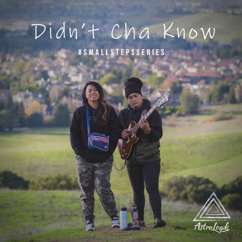 Didn't Cha Know - (Erkyah Badu Cover)