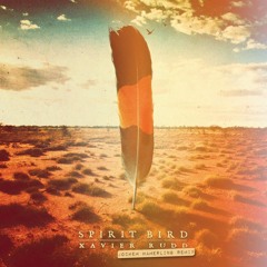Jochem Hamerling x Xavier Rudd - Spirit Bird (Extended Mix)