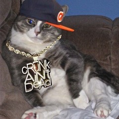 ᓚᘏᗢ (MEOW)