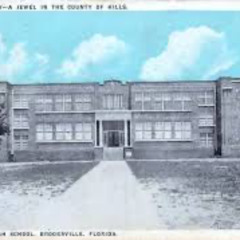 If These Walls Could Sing