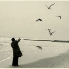 someday maybe not today