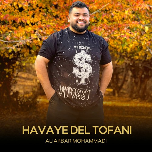 Aliakbar Mohammadi - Havaye Del Tofani