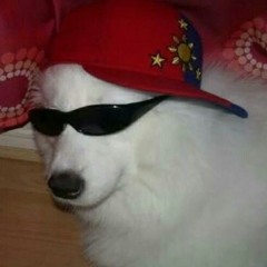 Rollin p. SACRIF1CED x +NRGY