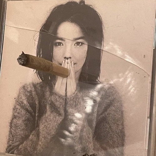 Shut The Fuk Up! (P.Kayzo808 + Mxlly)