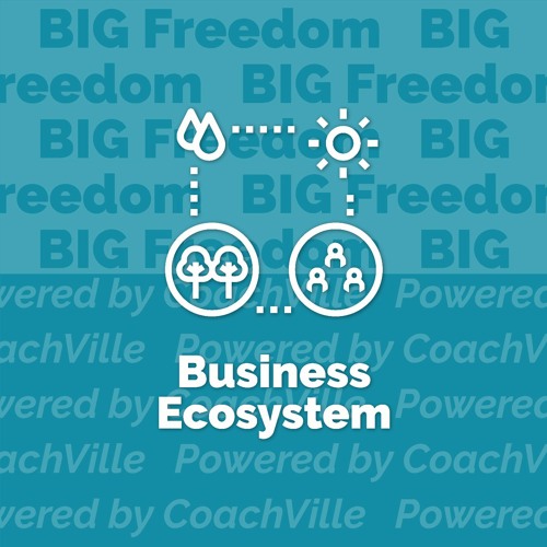BIG Freedom - Business Ecosystem