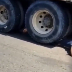 RICO Ray ~ Gore (w00dz)