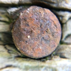 Troubled Times - Performed by Paul Dooley & Bill Titus