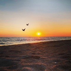 Zuma Beach