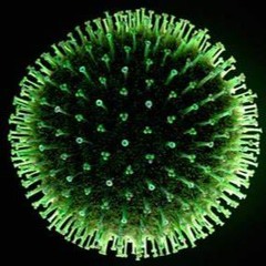 The Positive Pandemic