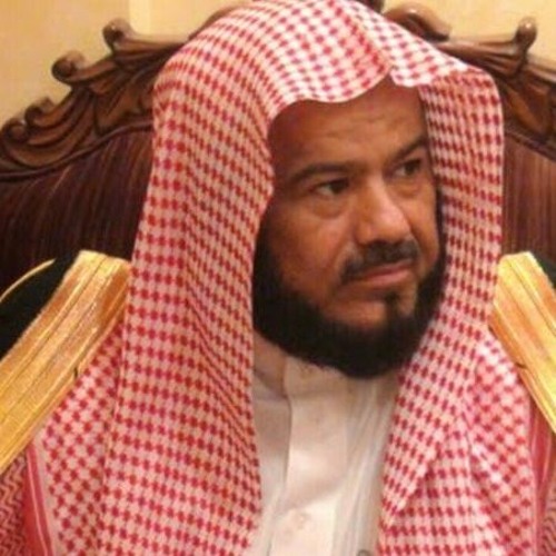 ÓæÑÉ ÇáÑÚÏ-ÇáÔíÎ:-ãÍãÏ ÇáãÍÓíä