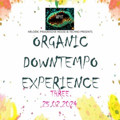 Organic Downtempo Experience three ( MPHT ) Deep Chill Minimal Ambient DJ Mix New 2024