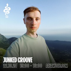 Junked Groove - Aaja channel 2 - 22 10 24
