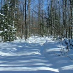 First Snow
