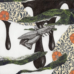 kanda riverside (feat.)Ronmel,Maeve,izolma