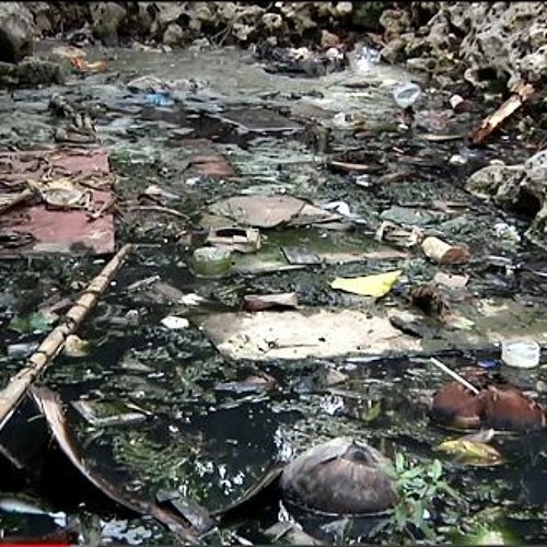 Garbage Waves