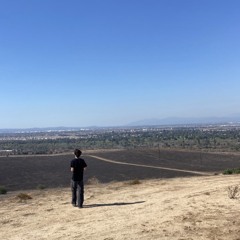 man above 2 (xoolice)