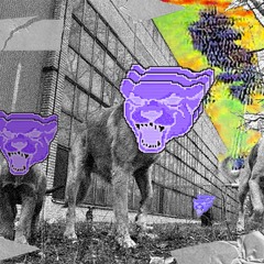 Псы попадают в грайм