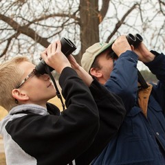 Classroom Trout & Watching Wildlife