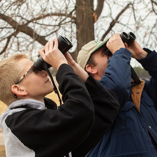 Stream episode Classroom Trout & Watching Wildlife by Outdoor Nebraska