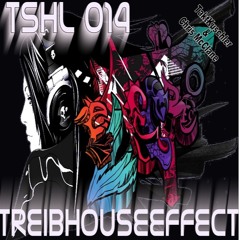 TSHL 014 - TreibHouseEffect - By TaktKuschler & Chris McClane (EDM : HOUSE : DANCE)