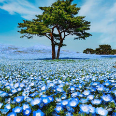 [FREE] Post Malone x Lil Peep Type Beat - Tomorrow