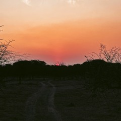 The Journey - Afro Vibes