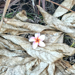 Mixes n betchin' n tings