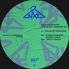 B1 - Rob Anderson - Everything Is Everything (snippet) [What NxT]