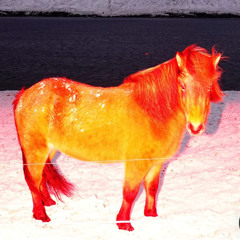 bicino Parlm Buon Cavallium ft parigiinfiamme