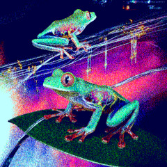 Music for Frogs