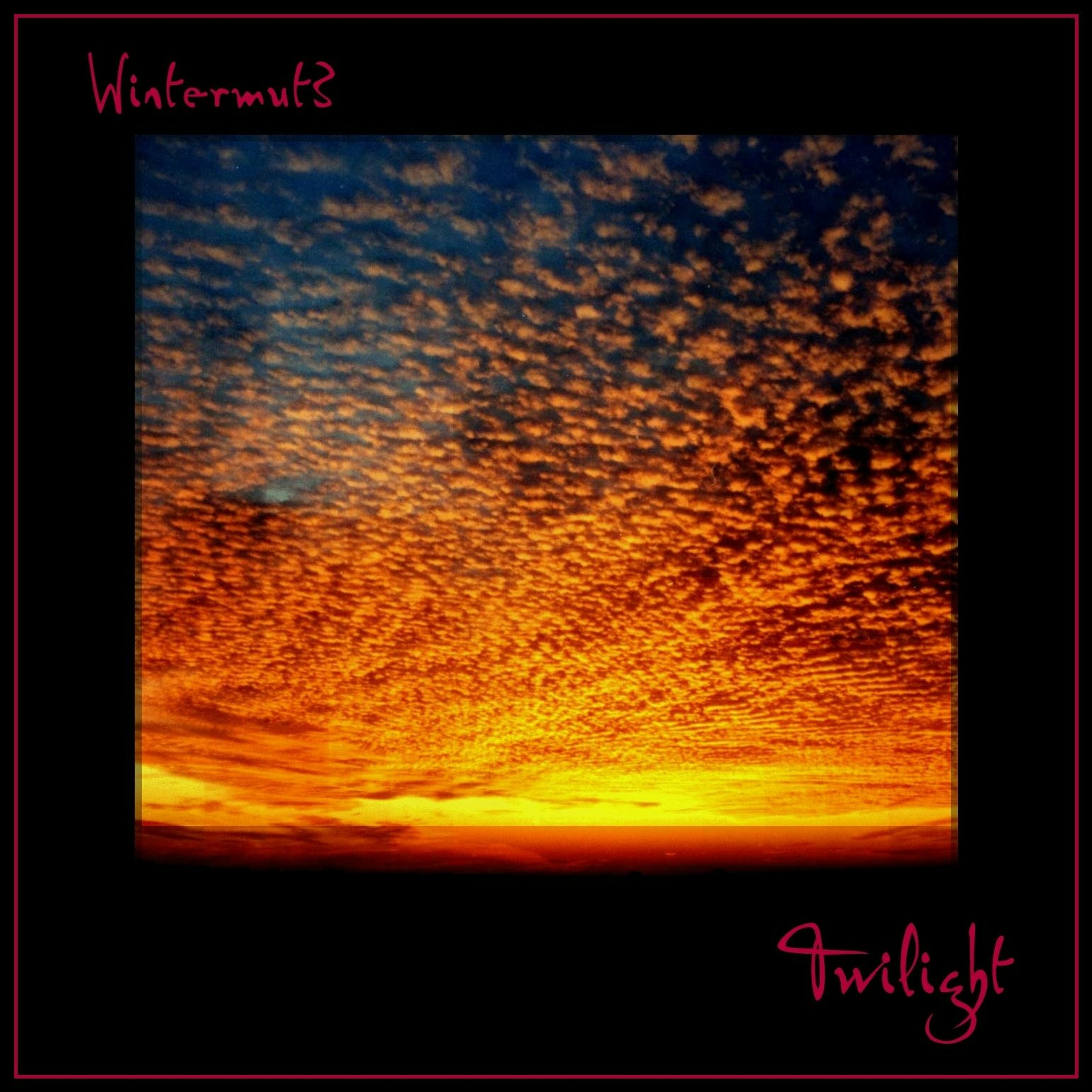 Wintermut3 Music
