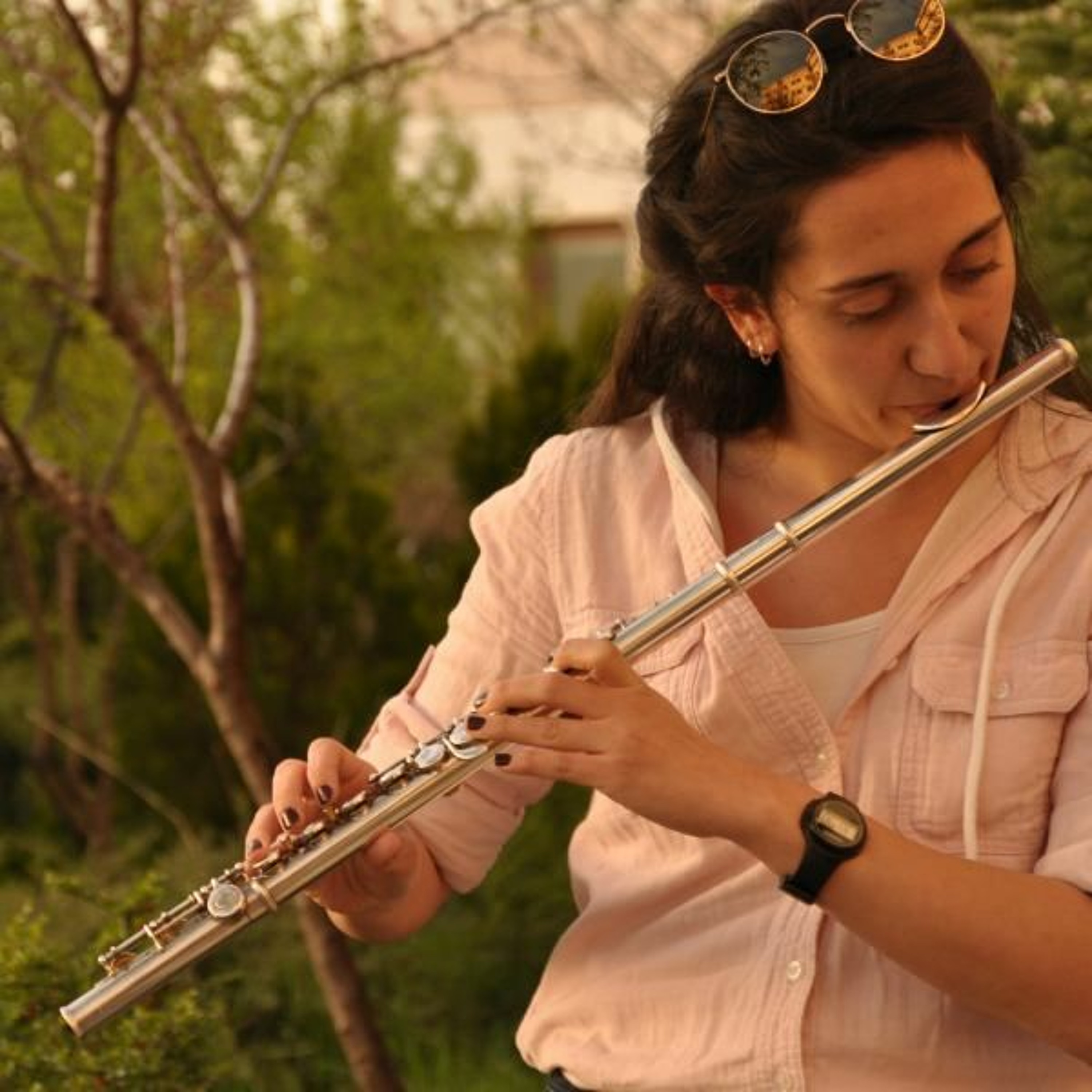 17 Mozart - Flute & Harp Concerto, 2nd Movement episode artwork