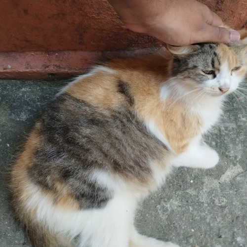 What You Like - Daily 06