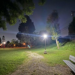 Chosen Omen (1010 Benja Sl Remix)