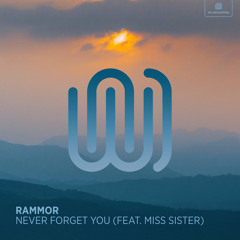Never Forget You (feat. Miss Sister)